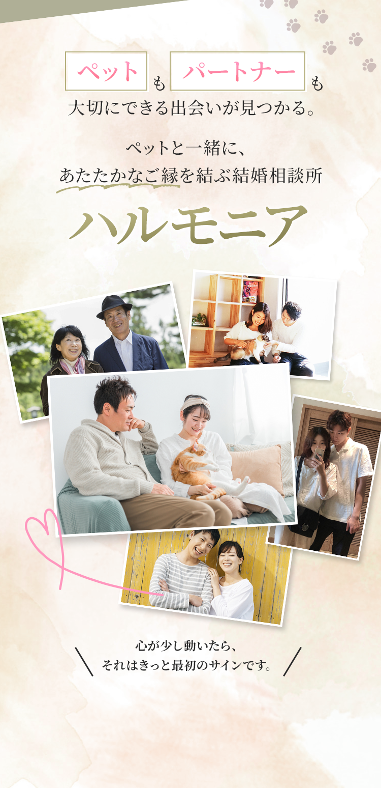 ”6ヶ月”（※婚活期間には個人差があります。成果を保証するものではありません）なんて、あっという間。なのに、人生が変わった